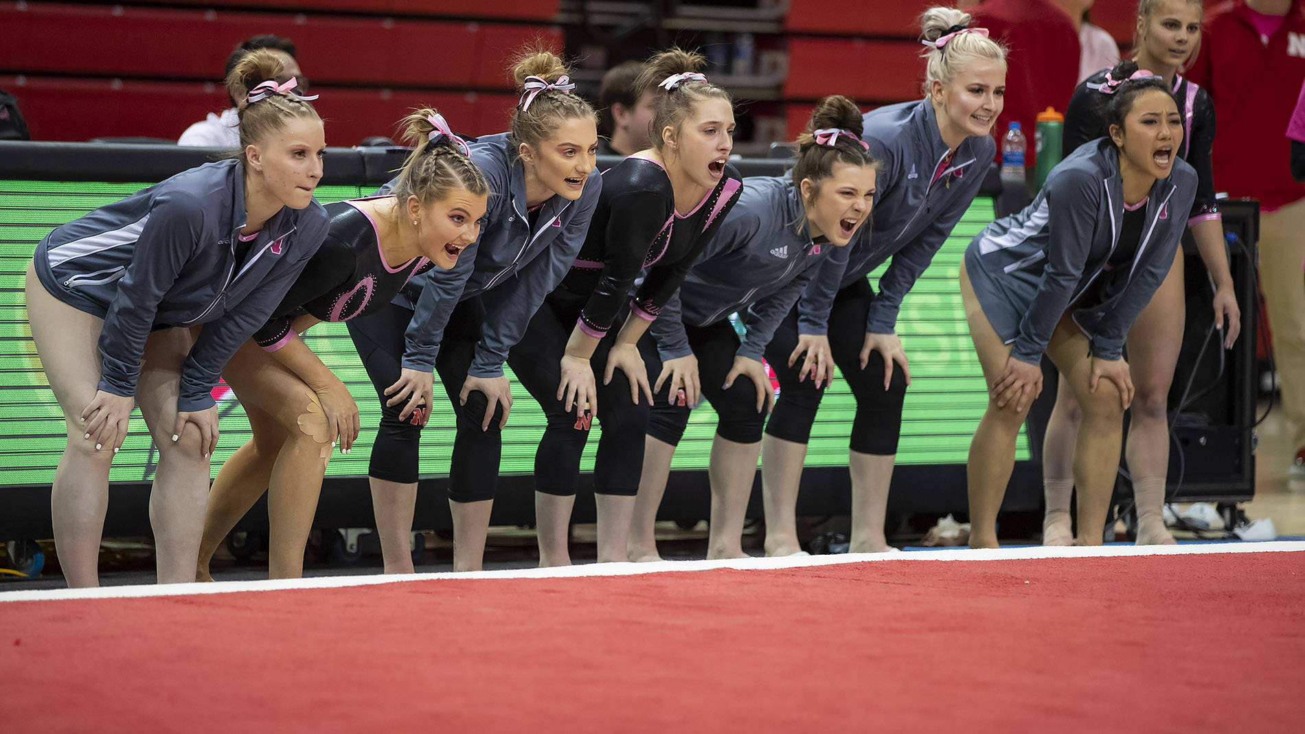 Taylor Houchin Women's Gymnastics 201819 University of Nebraska