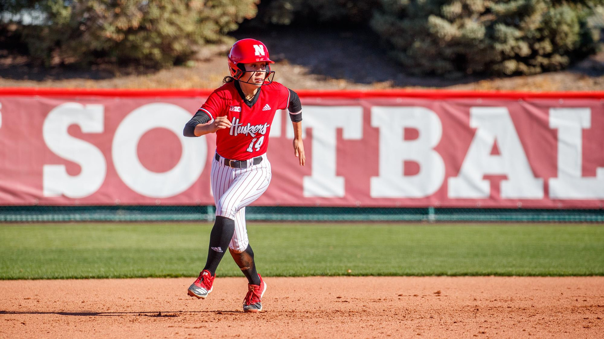 San Diego State Baseball on X: New cream uniforms are looking